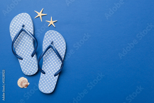 Flat lay composition with flip flops and seashell on colored background. Space for text top view