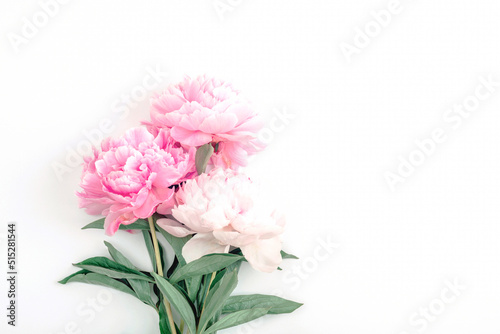 Pink peony flowers on white background with copy space. Top view