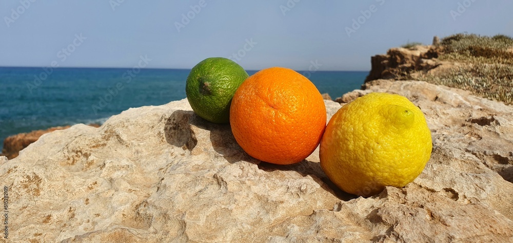 Fresh lemon, orange and lime. Juicy and fresh lime.  Citrus freshness. Fresh and sour lemons. Lemon freshness. Sour juicy lemon and lime.