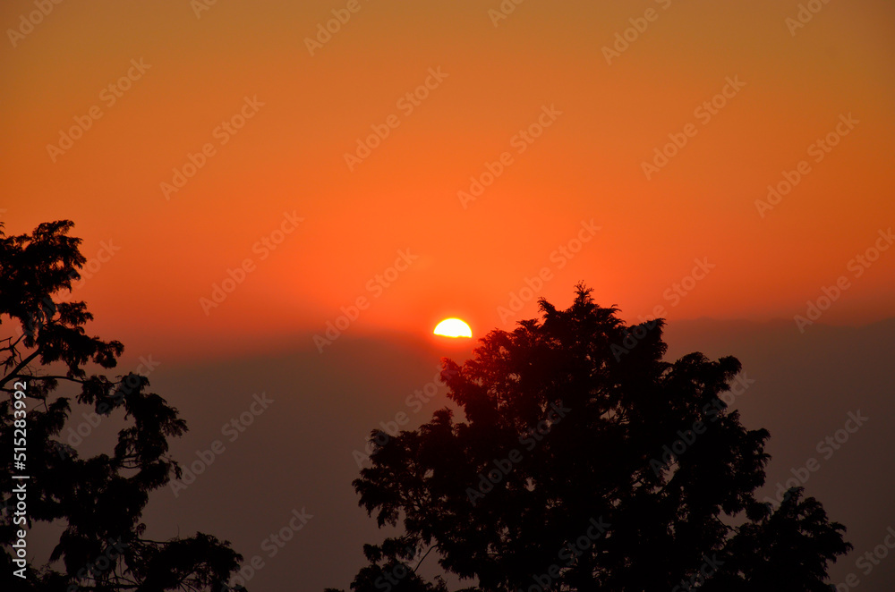 Fototapeta premium 初日の出