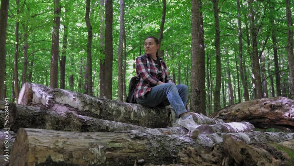 A young woman in jeans and a plaid shirt sits on fallen trees in the forest. The girl looks around and inspects the area. A young woman in jeans and a plaid shirt sits on fallen trees in the forest. The girl looks around and inspects the area.