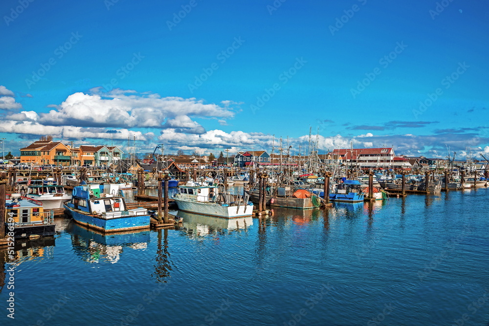  
Fishing Boats in Marina and a cloudy sky. This marina is located in the Steveston area of Richmond. The fishing village formed in this place was the first settlement on the territory of  Richmond 

