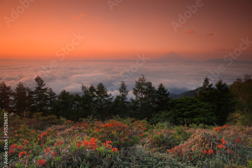 朝焼けの雲海 富士山