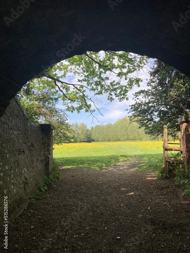 Wild Flower field in the English Country side