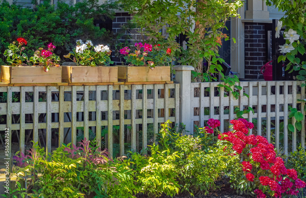 Flower boxes with colorful flowers on a fence of a garden. Summer flowers in ornamental plant Flower boxes with colorful flowers on a fence of a garden. Summer flowers in ornamental plant