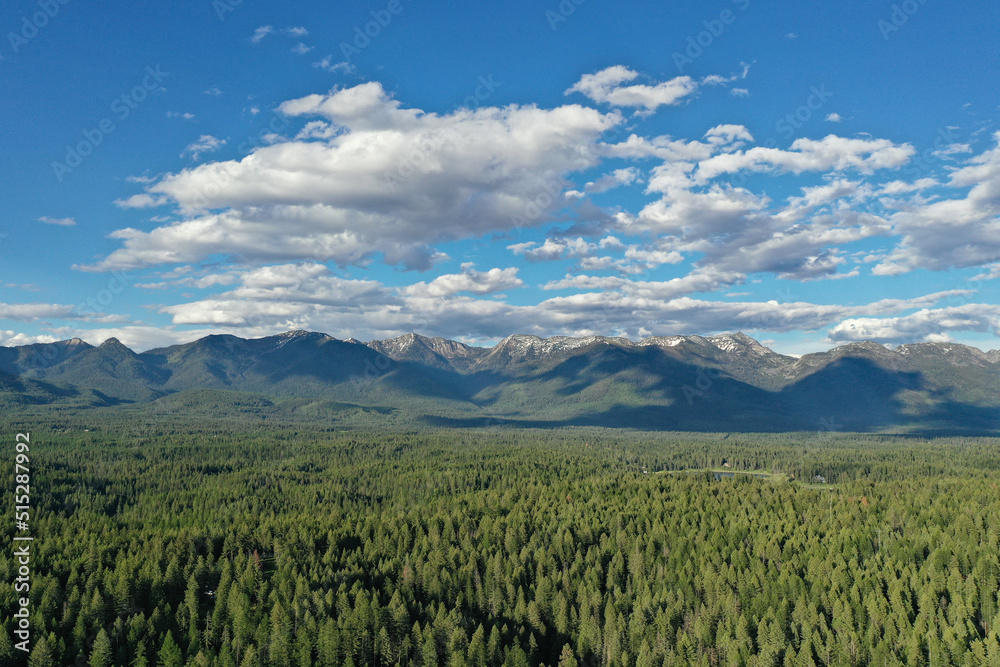 Aerial view of evergreen forests of northern Montana with Swan Mountain Range in background under sunny summer cloudscape.