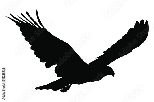 Eagle Silhouette Vector