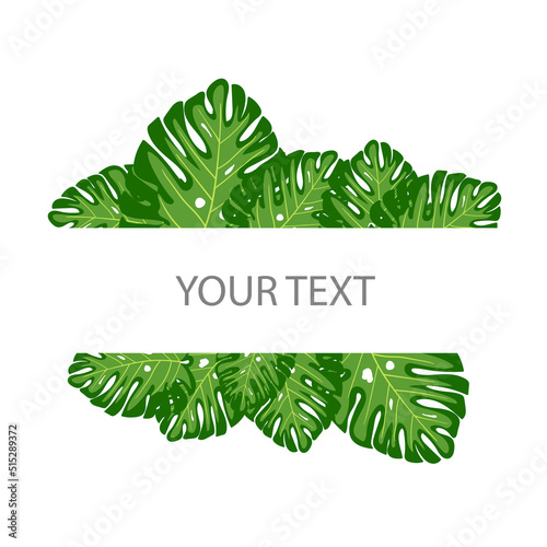 monstera pattern simple design illustration vector