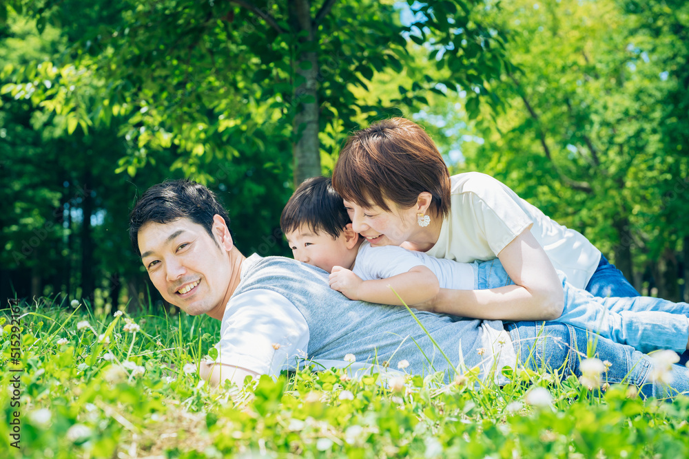 Fototapeta premium 草原に重なって寝そべる親子