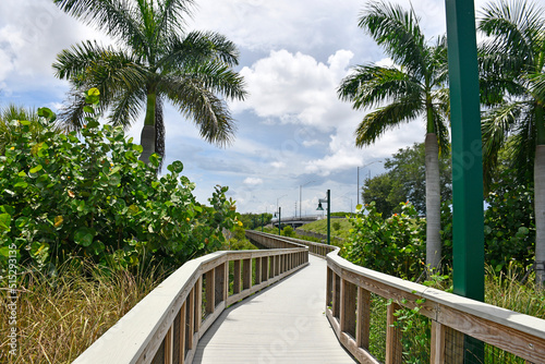 Wooden boardwalk walking trail with palm trees in Port St Lucie, Florida