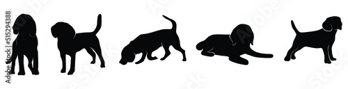 Silhouette Beagle dog set in white background