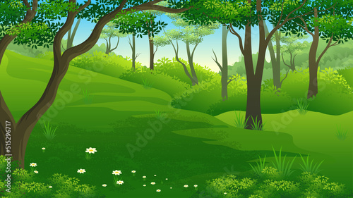 Green grass in the middle of the forest with lush trees