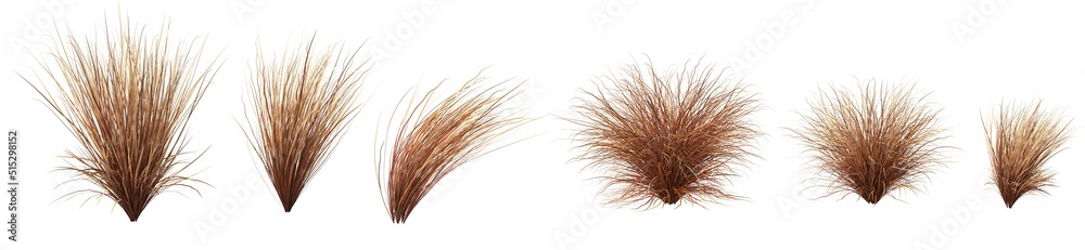 Grass panorama on a white background Grass panorama on a white background