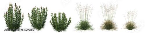 Grass panorama on a white background