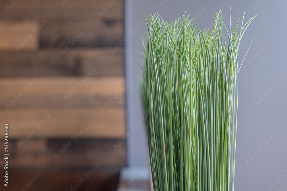 Grass in restaurant used as interior decor Grass in restaurant used as interior decor