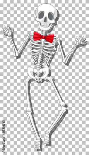 Human skeleton on grid background