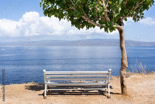 Empty bench under the tree on the background of the sea