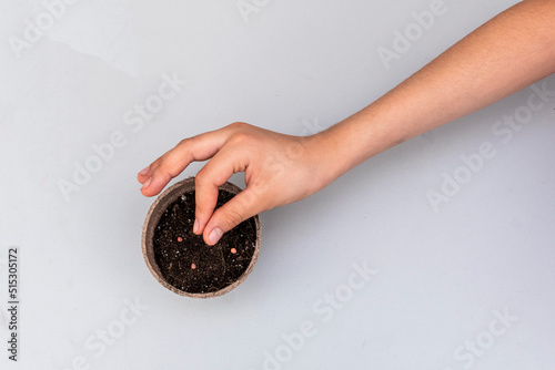 top view of little girl's hand holding a spinach seed before planting it in a seedbed