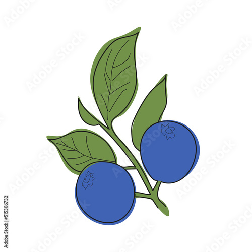 Blueberry branch minimalistic flat and line style.sprig of blueberries with leaves and berries