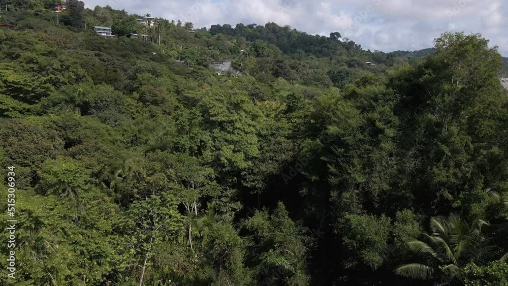 birds eye view over the beautiful green jungle of costa rica in the background the beach of playa playitas birds eye view over the beautiful green jungle of costa rica in the background the beach of playa playitas