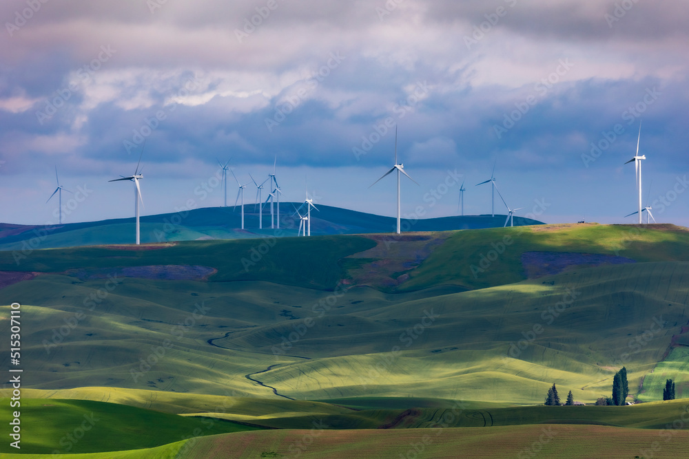 Fototapeta premium wind turbines on top of green rolling hills in Palouse in eastern Washington.