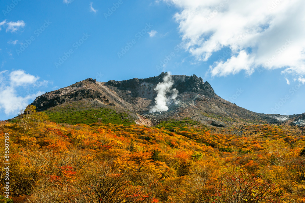 茶臼岳の紅葉