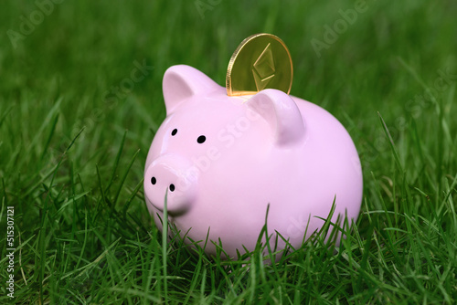 Piggy Bank with Ethereum coin on green grass in summer. Bitcoin mining concept. Selective focus