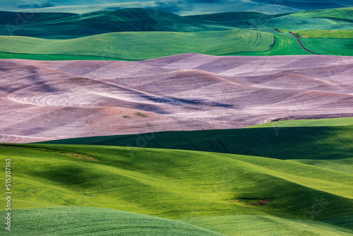 lush green  rolling hills of farm land of wheat and rapeseed during summer .  abstract like landscape of different hues of green and other colors  in East Washington. © Nathaniel Gonzales