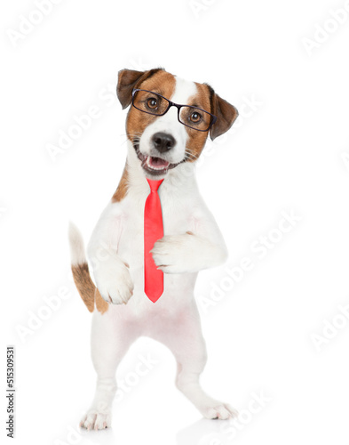 Smart Jack russell terrier puppy wearing  eyeglasses and necktie looks at camera. isolated on white background © Ermolaev Alexandr