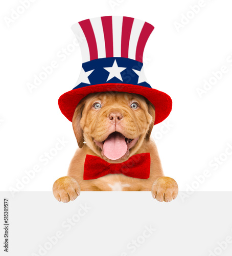 Happy Mastiff puppy wearing like Uncle Sam above empty white banner. isolated on white background © Ermolaev Alexandr