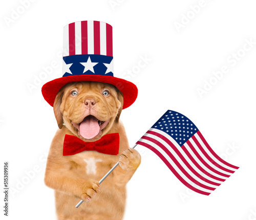 Happy Mastiff puppy wearing like Uncle Sam holds flag USA. isolated on white background © Ermolaev Alexandr