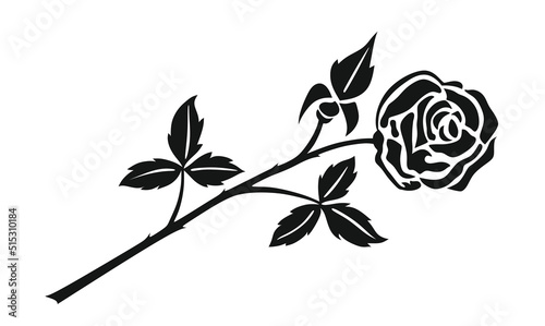 rose2060722a