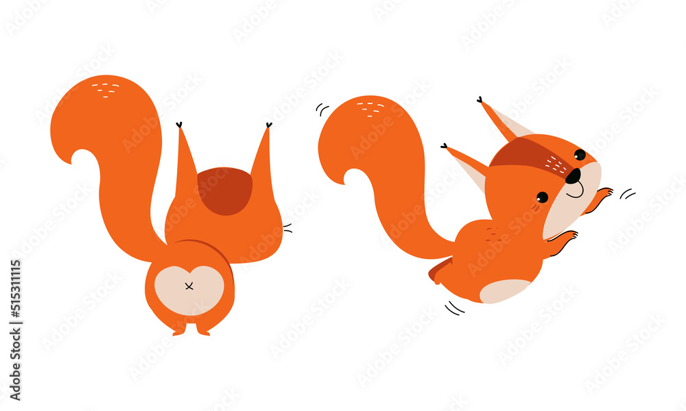Red Fluffy Squirrel with Bushy Tail Jumping and Standing Back View Vector Set Red Fluffy Squirrel with Bushy Tail Jumping and Standing Back View Vector Set