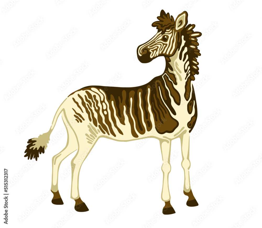 vector zebra quagga cartoon illustration