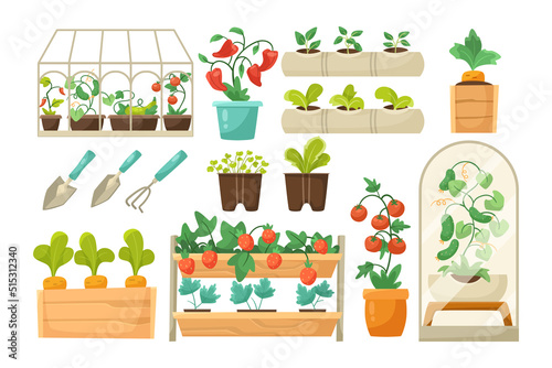 Plants and gardening equipment vector illustrations set. Cartoon drawings of tools for garden or greenhouse, wooden boxes with vegetables isolated on white background. Agriculture, farming, concept