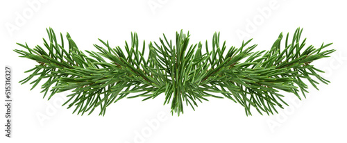 Green lush spruce branch. Fir branches. template, frame , christmas decor for greeting card. Wide spruce garland. Pine.