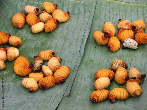 close-up Red palm weevil fat worm on banana leaf fresh snack on sale at local fresh market