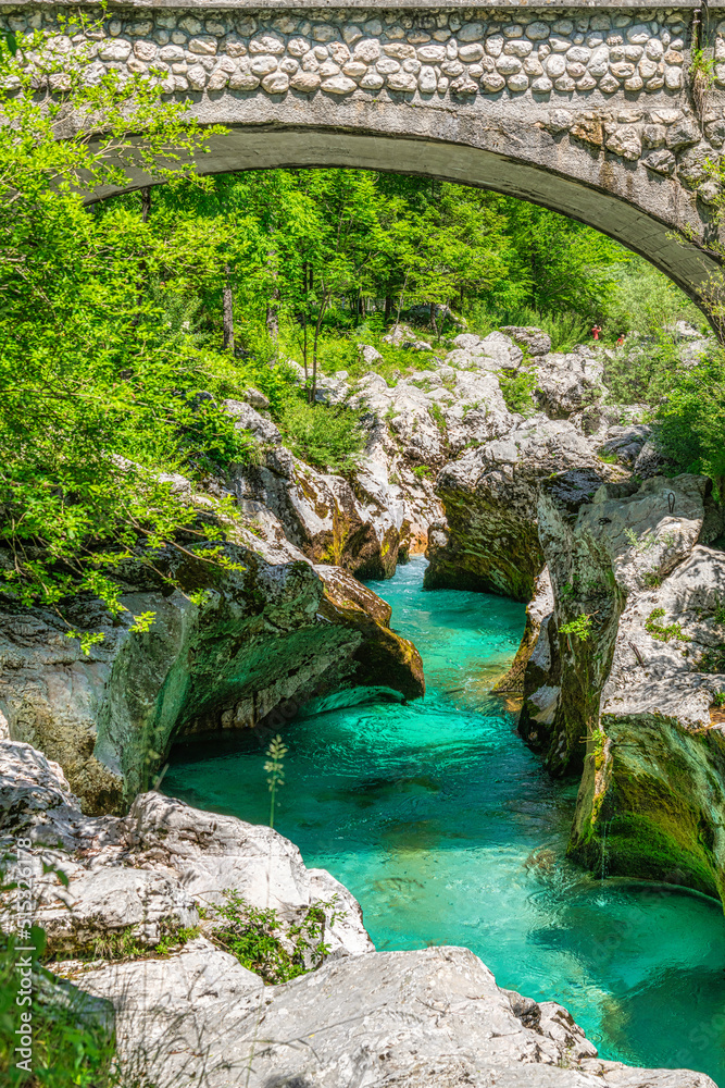 Velika korita Soče in the The Great Soča Gorge, Beautiful gorge with emerald coloured water flowing between the uniquely formed rocks, Triglav National Park, Julian Alps, Slovenia, Europe Velika korita Soče in the The Great Soča Gorge, Beautiful gorge with emerald coloured water flowing between the uniquely formed rocks, Triglav National Park, Julian Alps, Slovenia, Europe