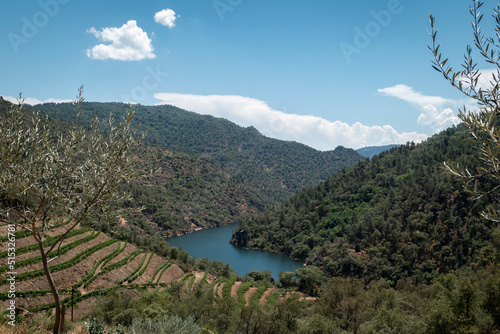 Entre montes, montanhas, vinhas e algumas oliveiras, o rio Tua próximo à aldeia de Amieiro no concelho de Alijó, Portugal photo