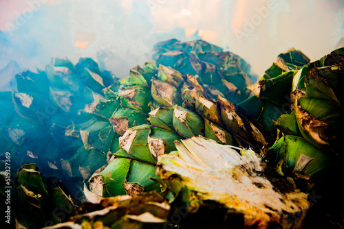 Cabezas de agave espadín en cocción photo