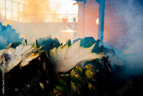 Cabezas de agave espadín en cocción photo