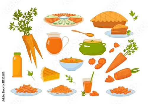 carrot. healthy natural products from carrot vegetables. Vector illustrations of different food