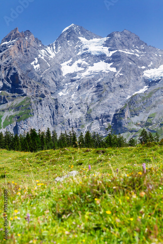 Swiss Alps mountains and blooming meadow © karandaev