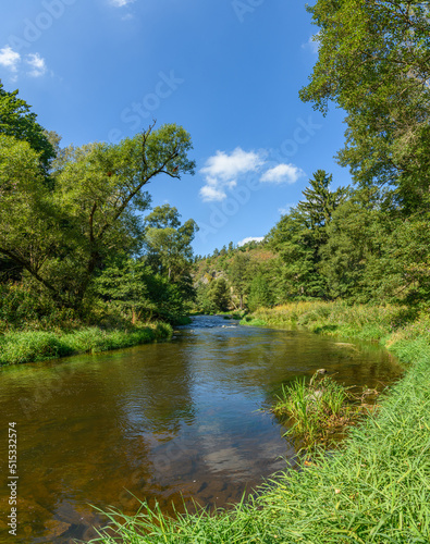 river in valley surrounded by forests, blue sky