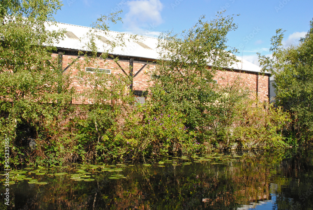 Reflections in Waters of Overgrown Bank of Old Canal with Industrial Building and Blue Sky Reflections in Waters of Overgrown Bank of Old Canal with Industrial Building and Blue Sky