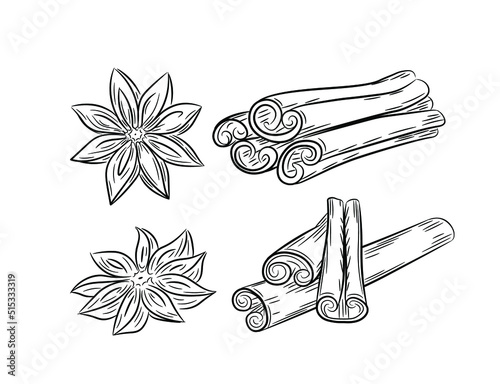 A selection of spices. Set of anise and cinnamon . Black line art in hand drawn doodle style. Isolated vector illustration.