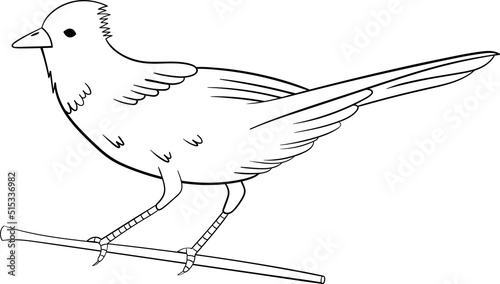 Birds clipart design illustration