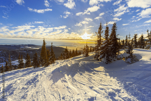 Natural Winter landscape in Sheregesh ski resort in Russia, Cold weather and sunshine, white snow slope, fir trees on top of mountain, nature view with blue clouds sky, evening time, sunset.
