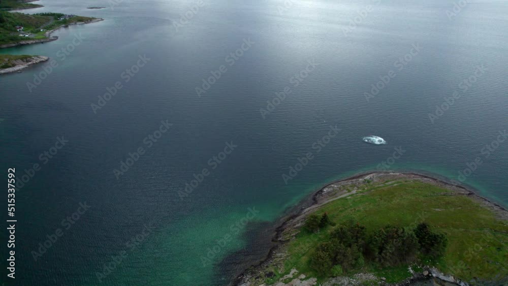 Aerial view of a jumping Humpback whale coming to surface in Northern Norway Aerial view of a jumping Humpback whale coming to surface in Northern Norway