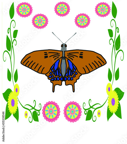 the best butter fly is here.